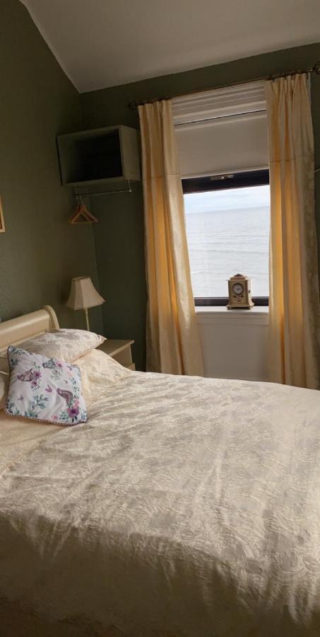Bed and Breakfast Conlyn House Newcastle  Zewnętrze zdjęcie